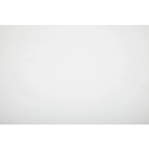 Thassos White Slab - marble tile